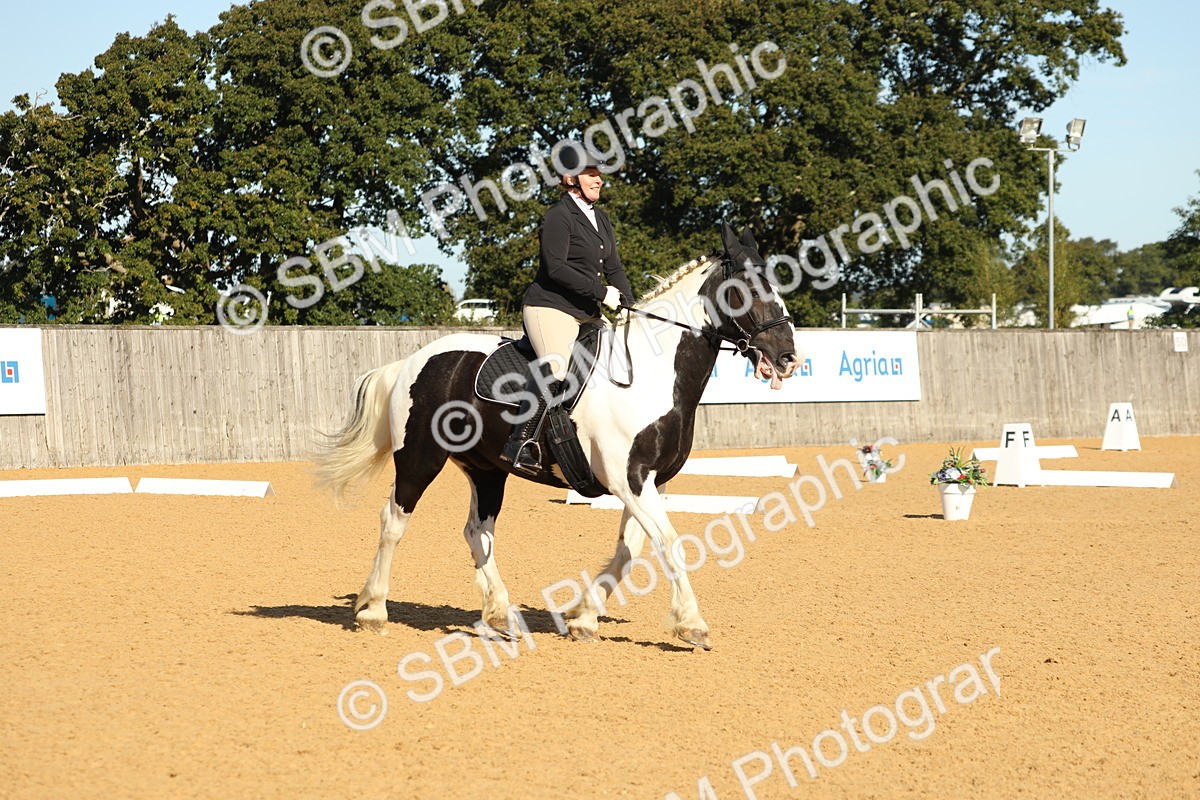 SBM_16596 - D10 - Small Tour Championship - Prelim 2