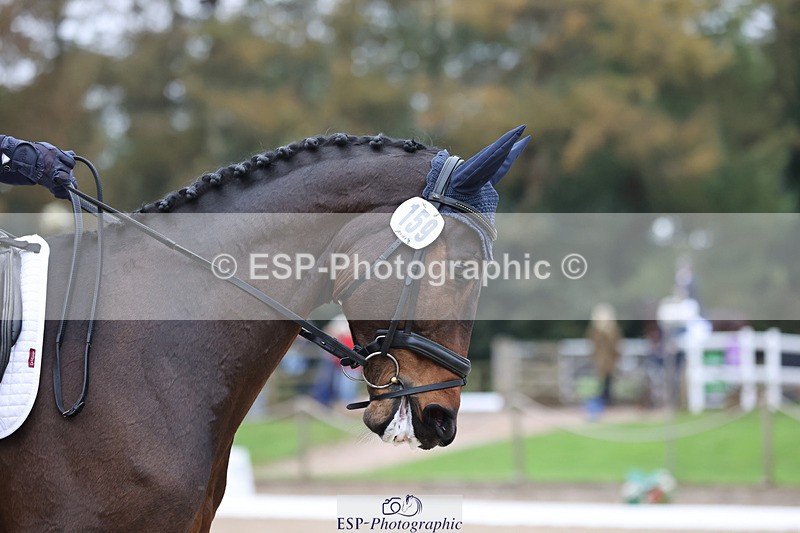 241024-140831-03781 - 159-Eva.Carse-HIDDEN.ECLIPSE