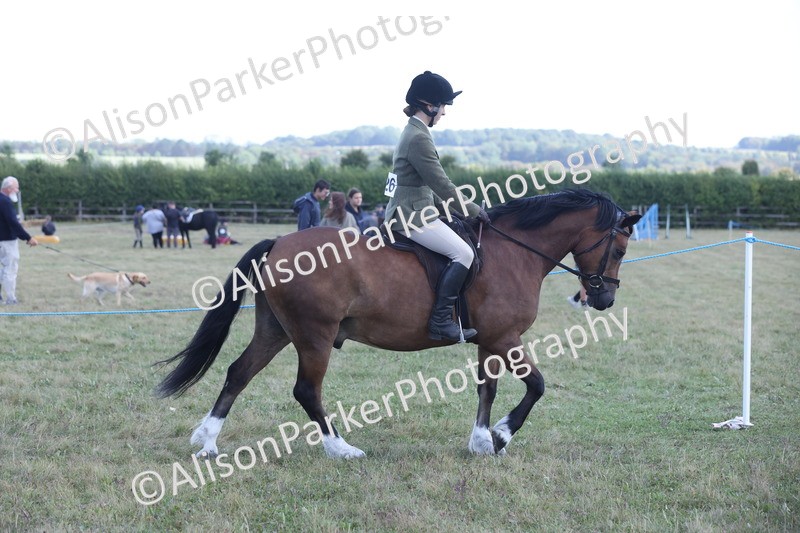 20250831-2900 - Class 19 - Mountain and Moorland