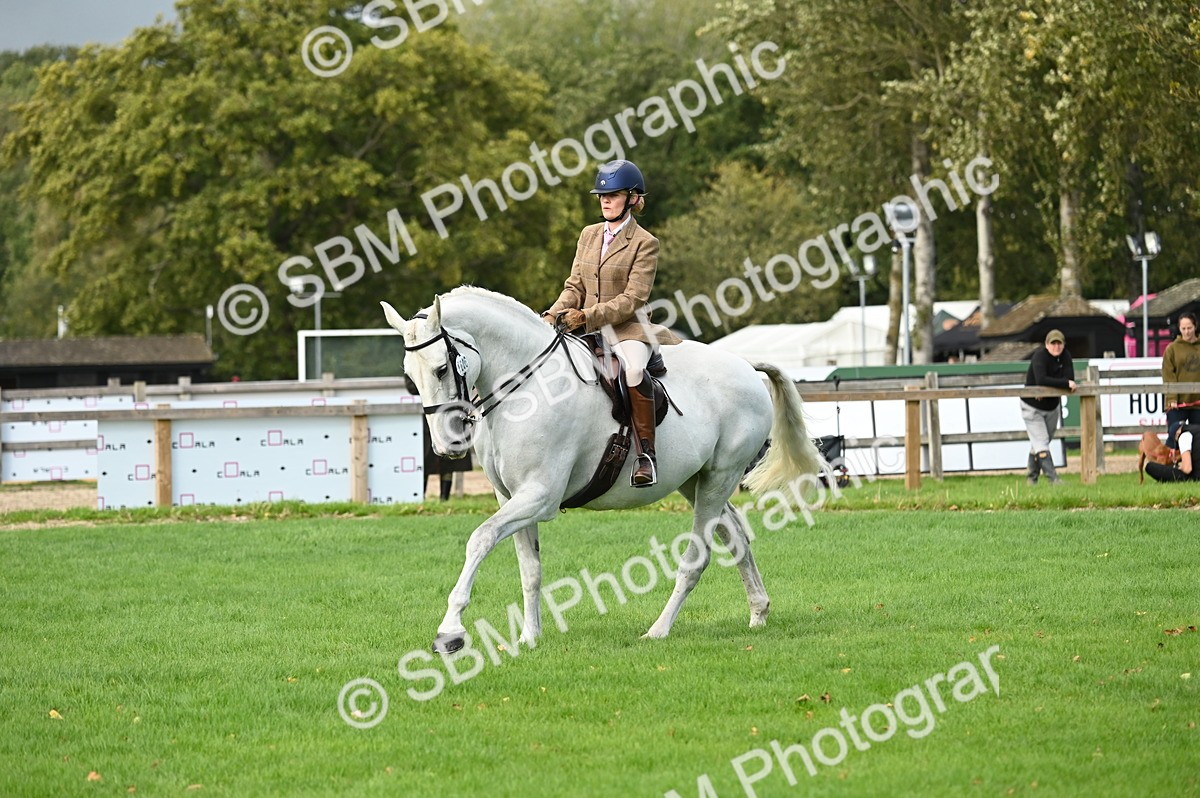 SBM_26395 - S6 - Novice & newcomer Ridden horse