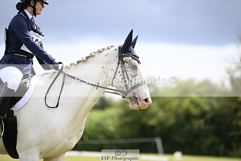 240824X-124658-26526 - D80 Section E and F 12.00 to 13.20