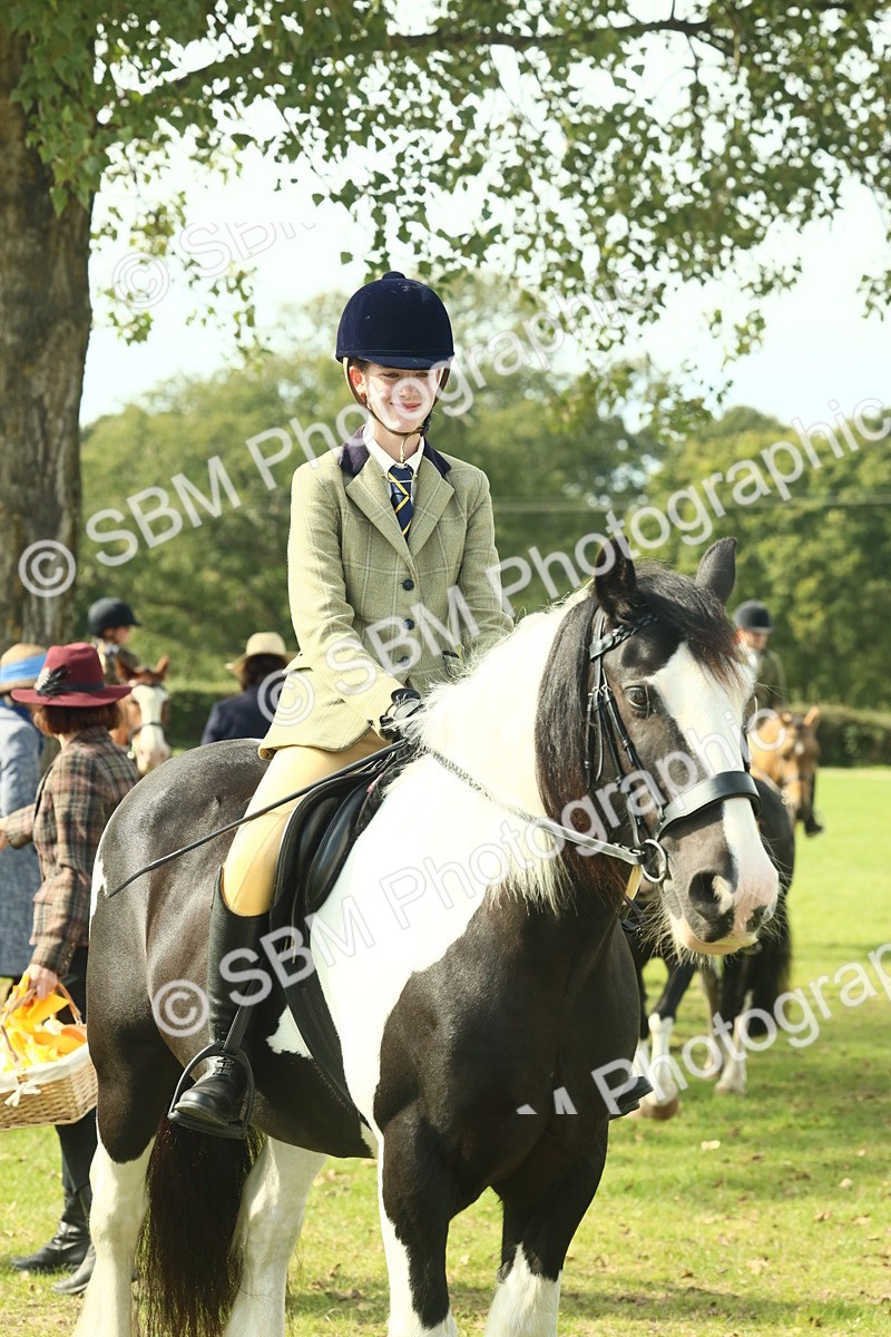 SBM_68960 - S58 - Mini Show Cob Ridden