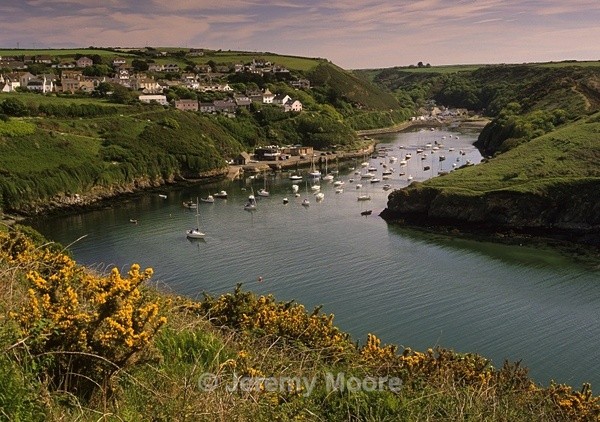 Jeremy Moore Photography, Pembrokeshire, Wales