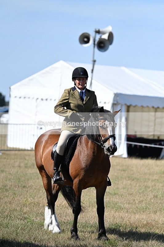 WJ7_3621 - Class 9 Mountain & Moorland Ridden