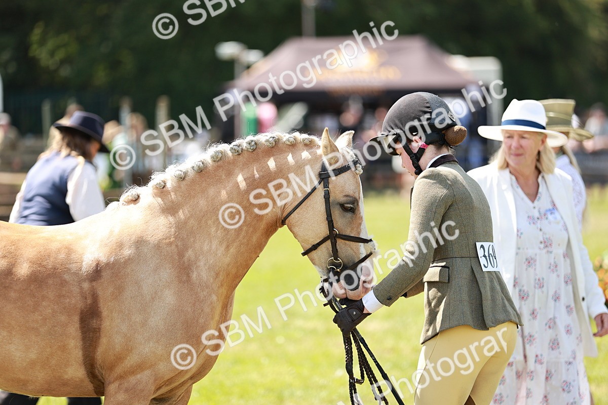 SBM_15700 - Class 108-109 - BSPS LIHS Open Gradle & Nursery Stakes