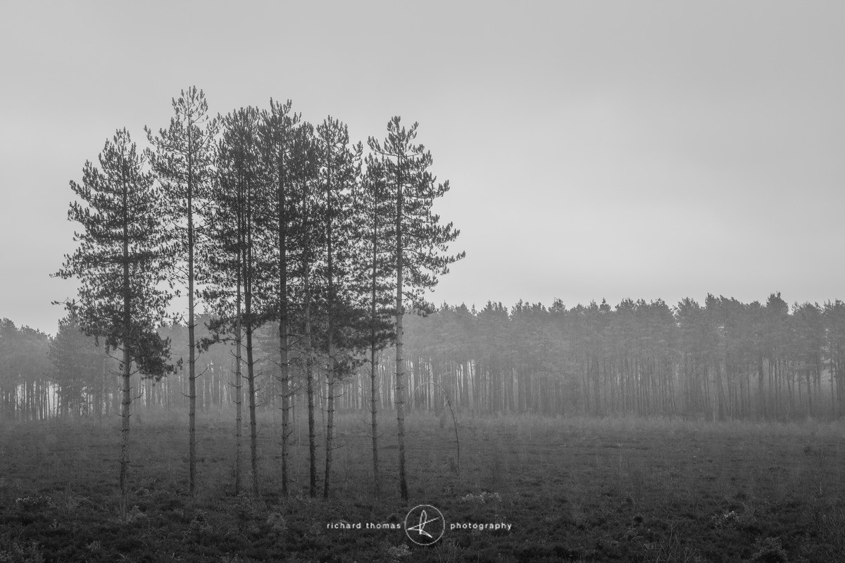 Bottle washers I - Bottlewashers