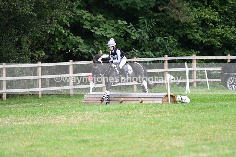 WJ7_7563 - 40cm Time 10:27 to 10:47