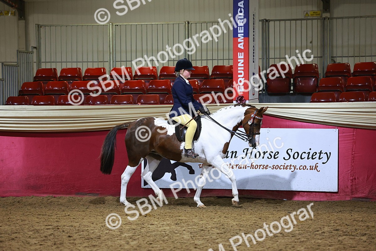 SBM_15488 - Class R - Veteran Champ