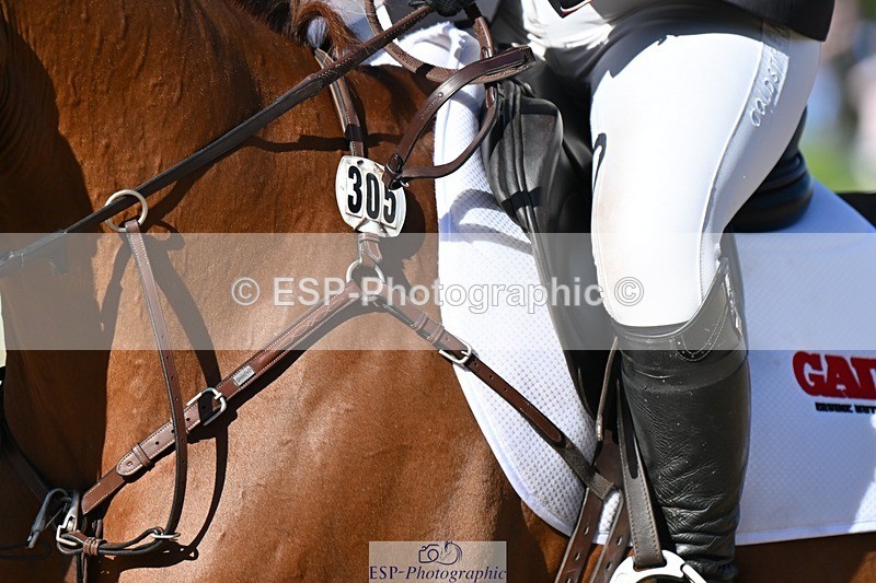 231022-125413-26857 - 305-CHILLI.KNIGHT-Gemma.Stevens-SJ