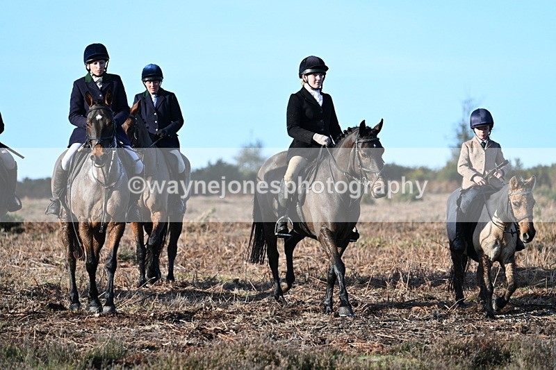 WJ7_7343 - Line 3 (no line 4 or 5)