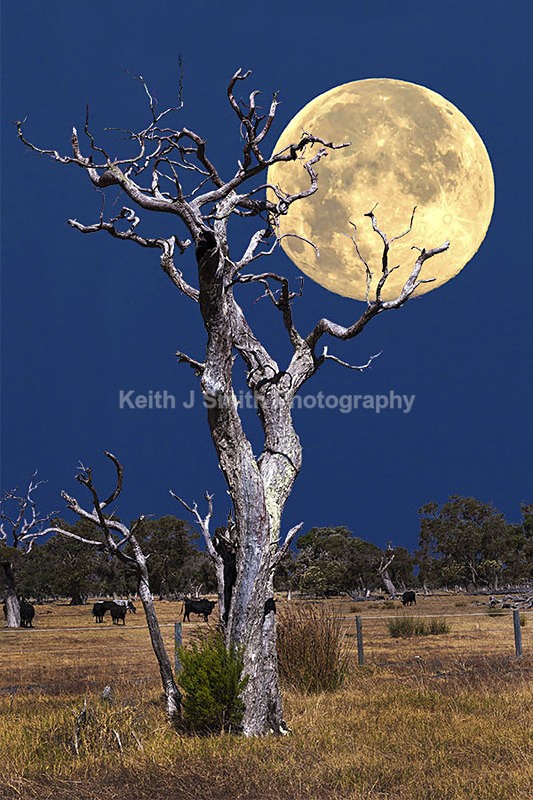 0SKJ5025 - While your were sleeping