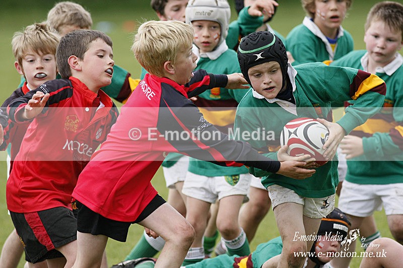 Pitch-25 - Pitch Action