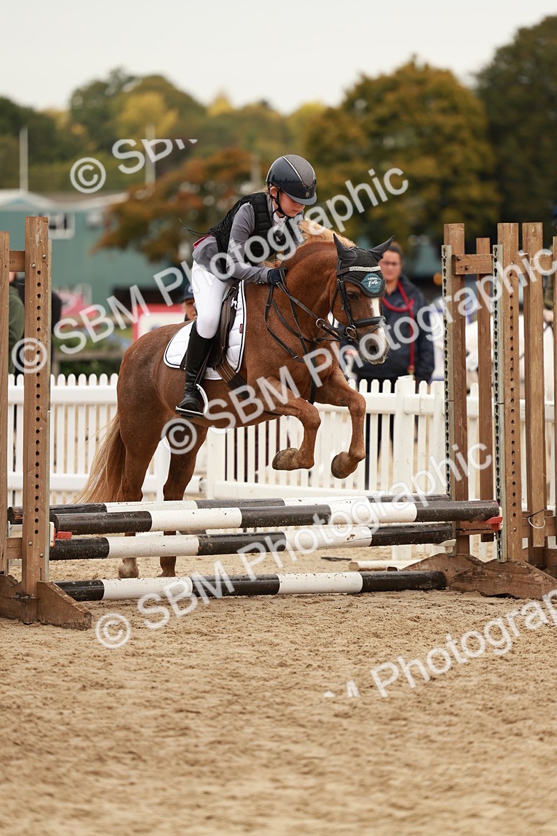 SBM_57972 - J11 - Junior Pony 50cm Championship