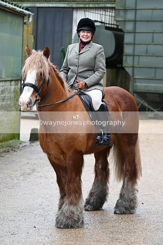 WJ7_8693 - Berks & Bucks - Rowles Farm 15-02-26