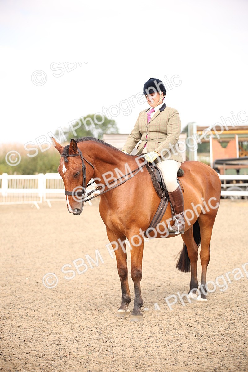 SBM_12925 - Class 406a - Working Veteran 50cm (15-19)