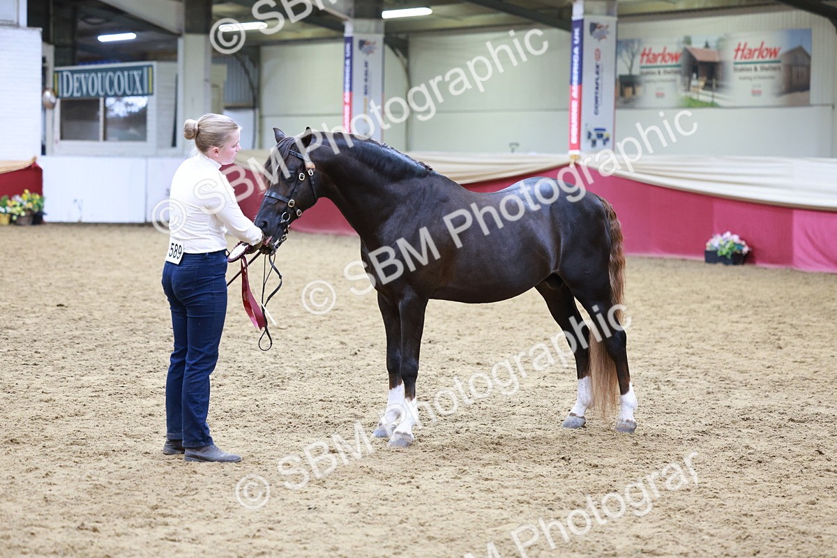 SBM_18950 - M&M Supreme Final champ