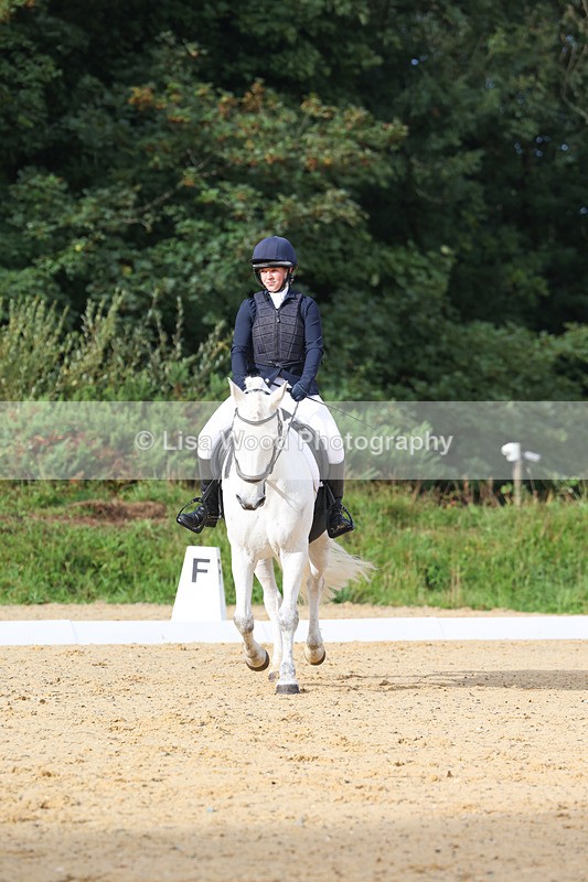 3E7A1985 - Class 1: Intro 4 2024 section A