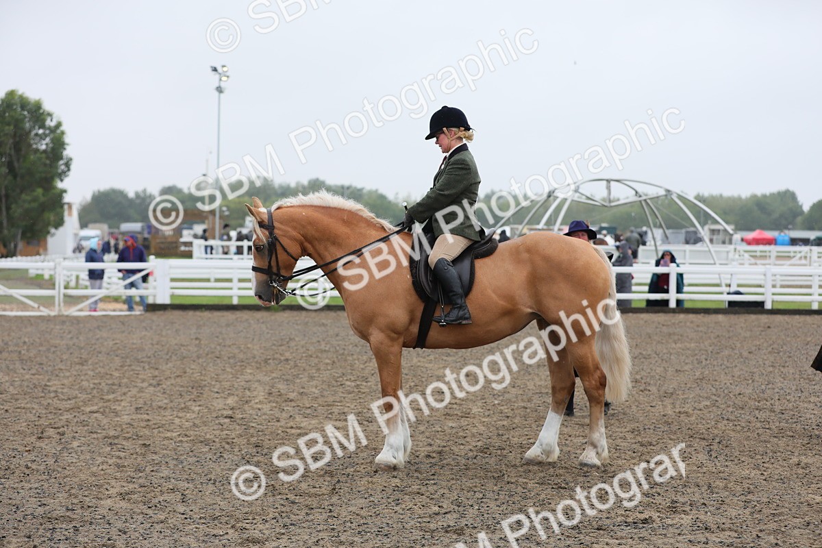 SBM_20336 - Class 803 - Ridden Combination 65+