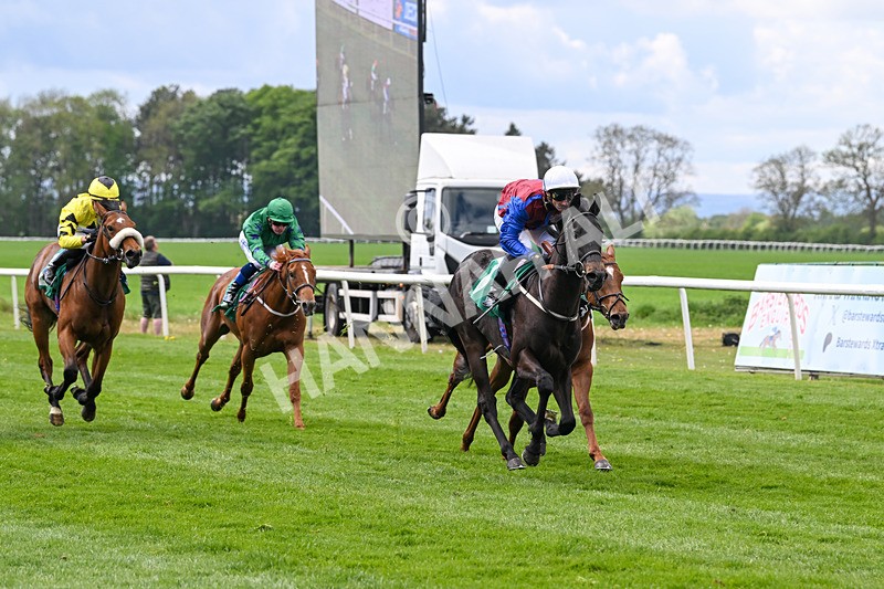 030525-Race 2-Under The Radar-2588 - Race 2