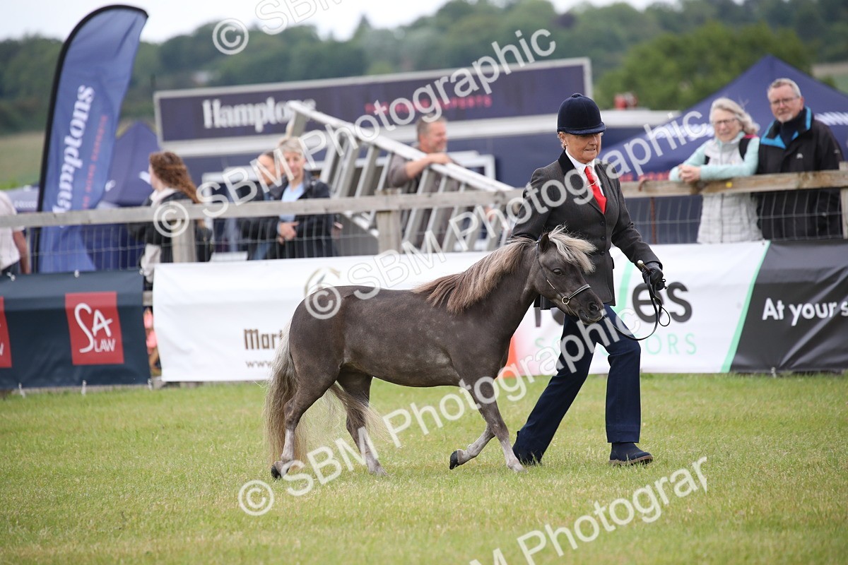 SBM_03863 - Class 23-25 - British Miniature Horse of the Year
