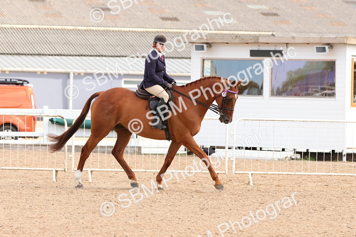 SBM_16250 - Class 217 - Ridden Retired Racehorse