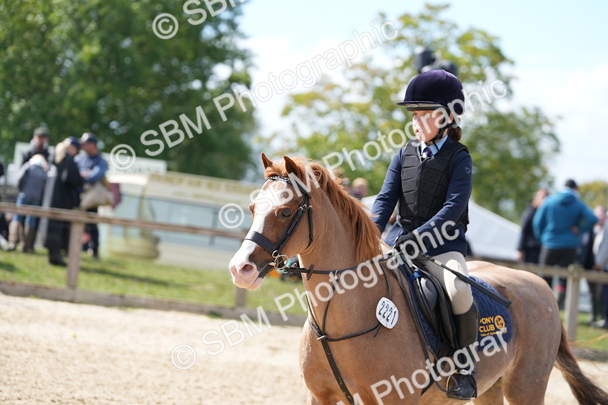SBM_44340 - J7 - Junior Pony 60cm Championship