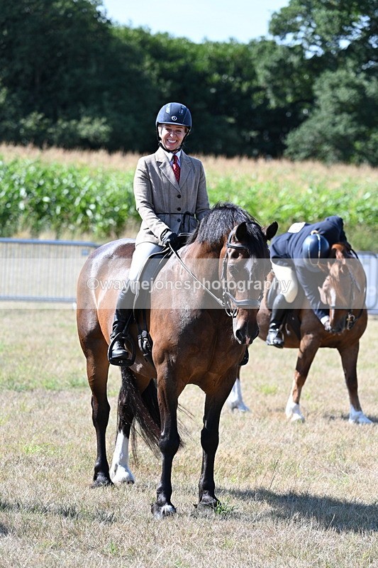 WJ7_3637 - Class 9 Mountain & Moorland Ridden