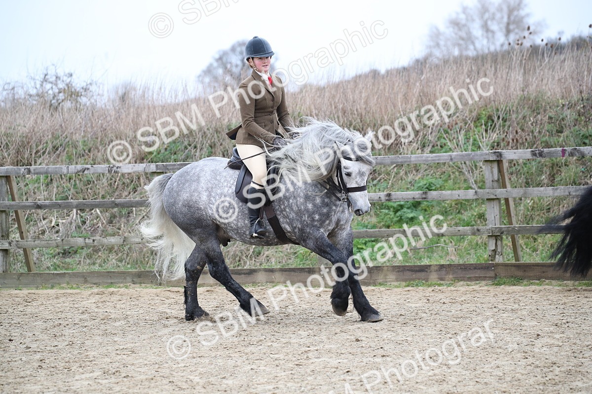 SBM_006346 - Class 10-13 - RIHS Small Large Breeds