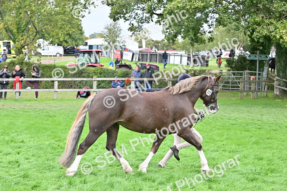 SBM_68591 - S42 - Junior Handler 9-12 Years