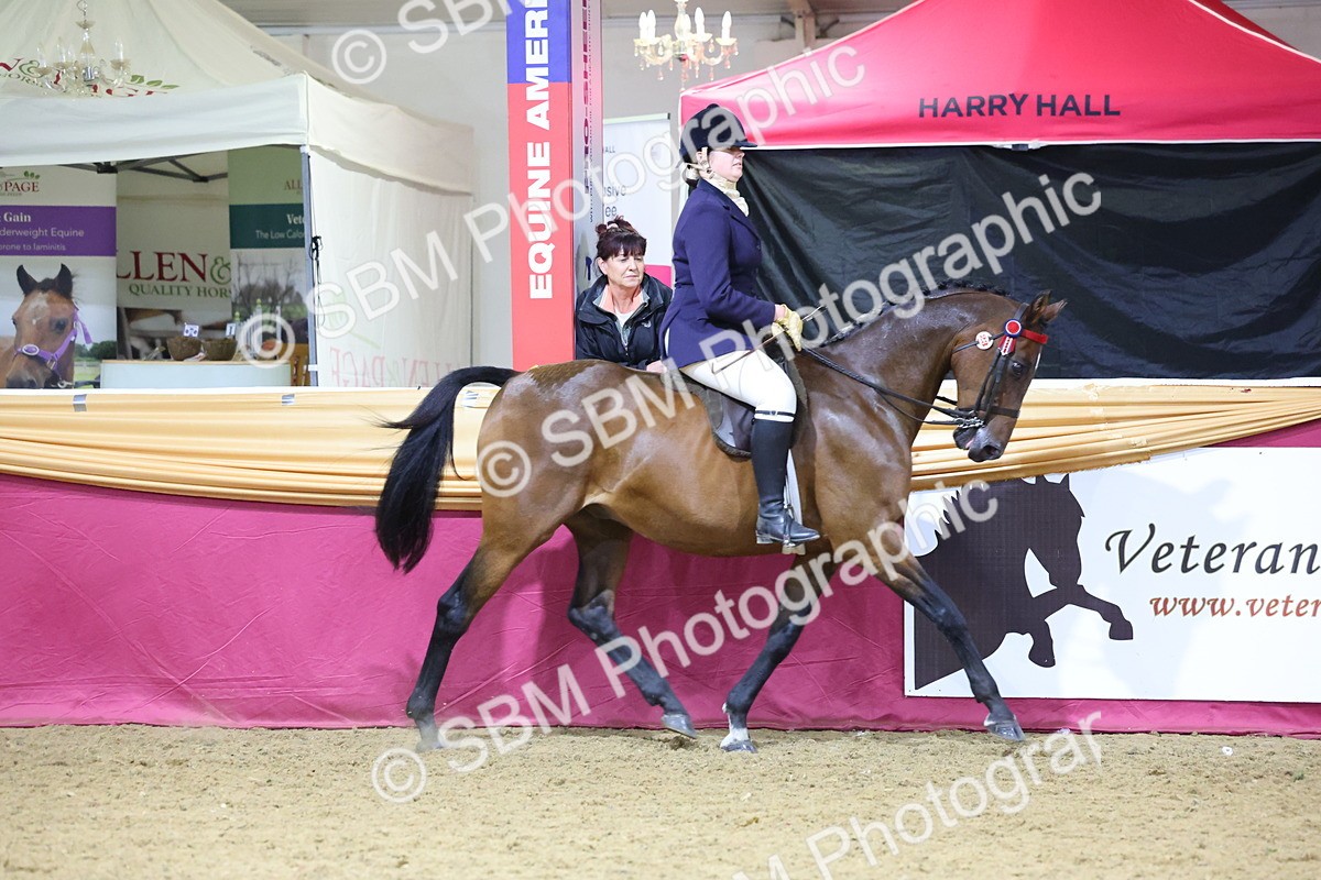 SBM_19001 - Class G Ridden Pony Champ