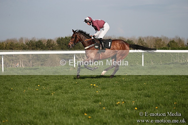 PtP 210418 576 - South & West Wilts Point-to-Point Larkhill 21/04/18
