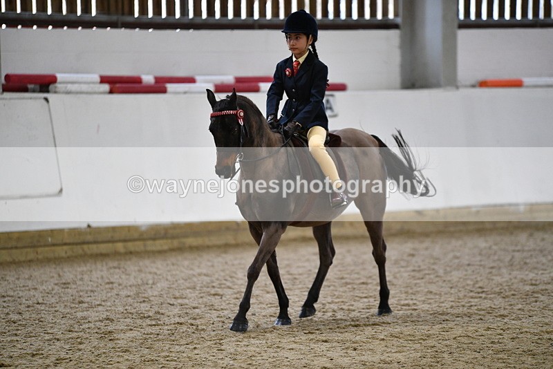 WJ5_6937 - Class 10 Childs Pony