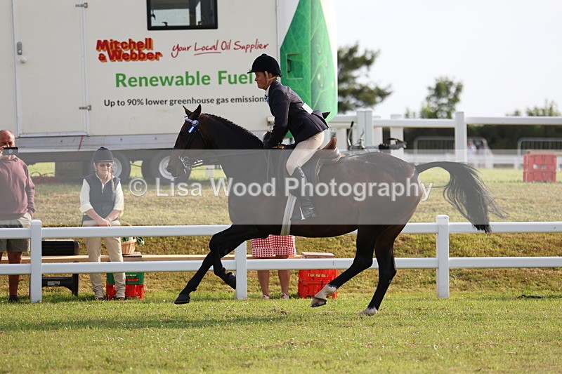 3E7A7745 - Class 1: Rising Star Small Hack/Riding Horses