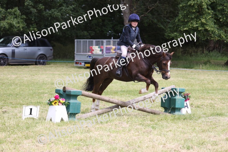20260614-2768 - Class 22 - Open Working Hunter