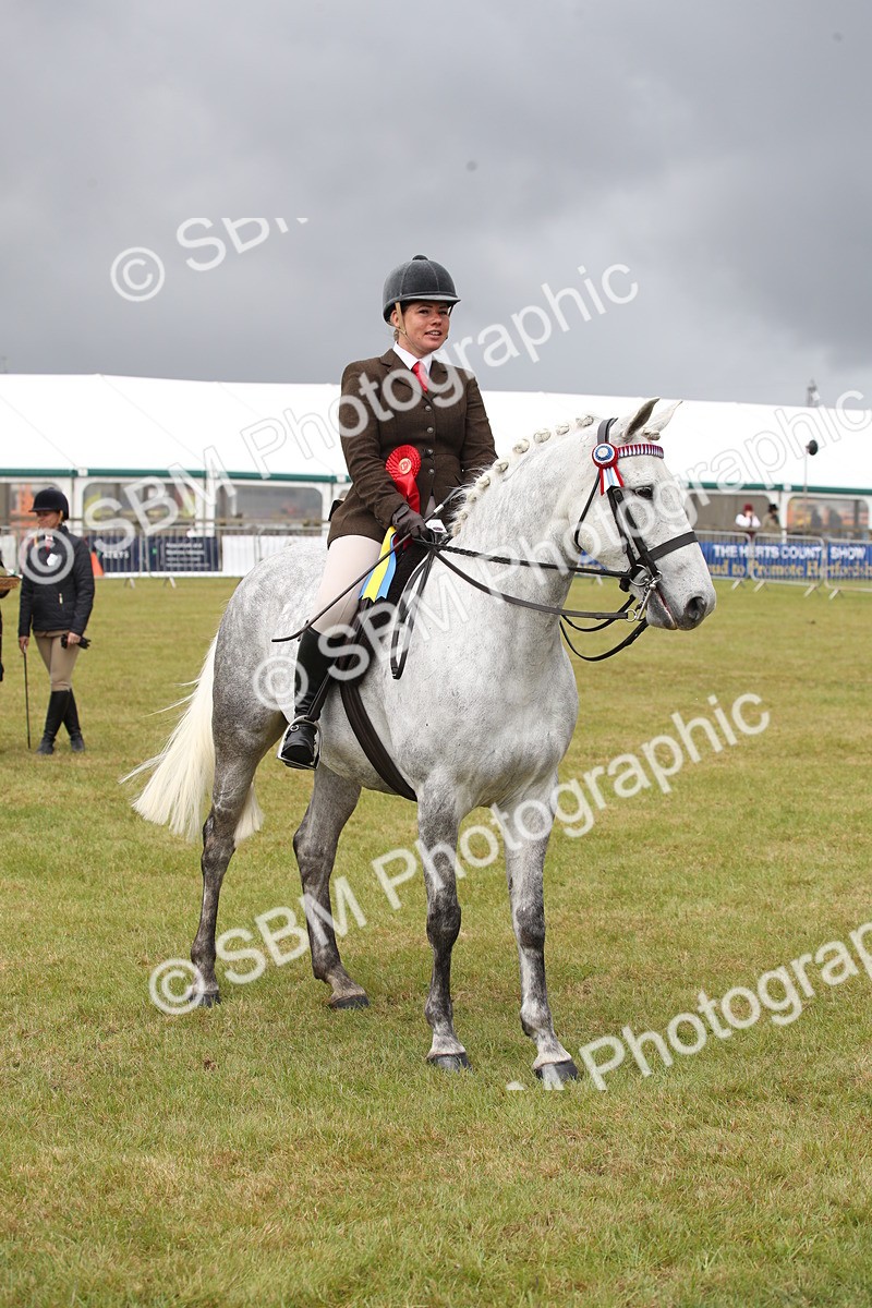 SBM_13167 - Class 95-96 - LIHS BSHA Rising Star Hack Riding Horse