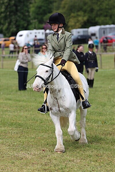 IMG_2657 - Working Hunter