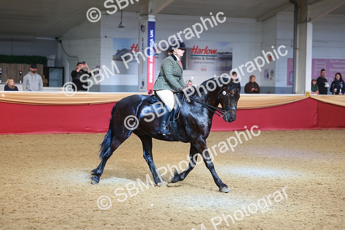 SBM_09730 - Class 102 - HOYS Veteran Qualifier - Ridden Veteran