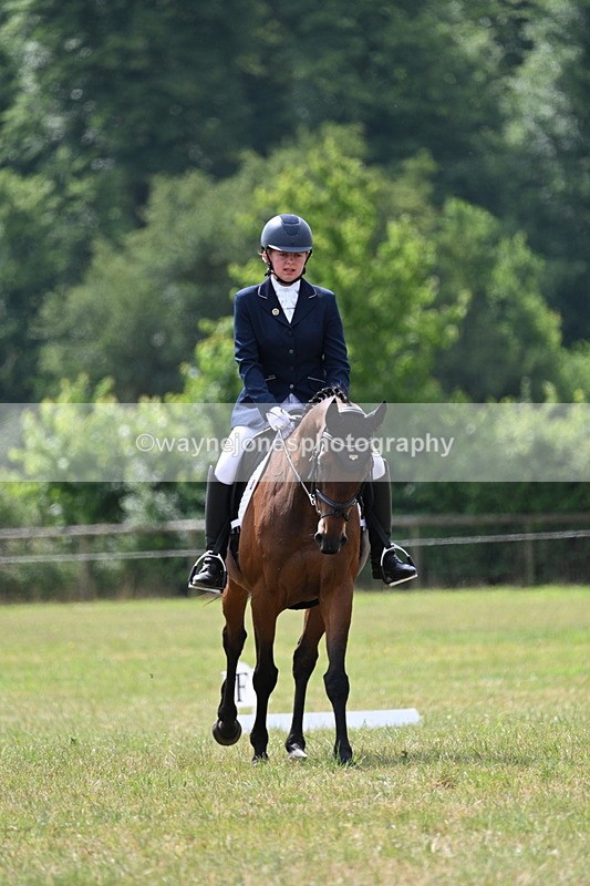 WJ7_2892 - Time 10:14 to 10:27