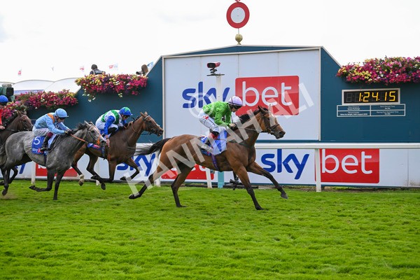240824-Race 3-Breege-1449 - Race 3 3.00pm Sky Bet City Of York Stakes