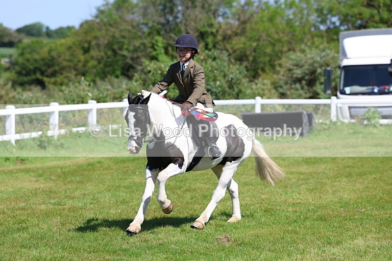 3E7A6794 - Working Hunter Pony Championship
