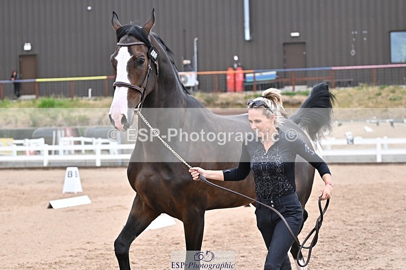 250716-133742-00602 - Trot Up 1.30 to 2.30