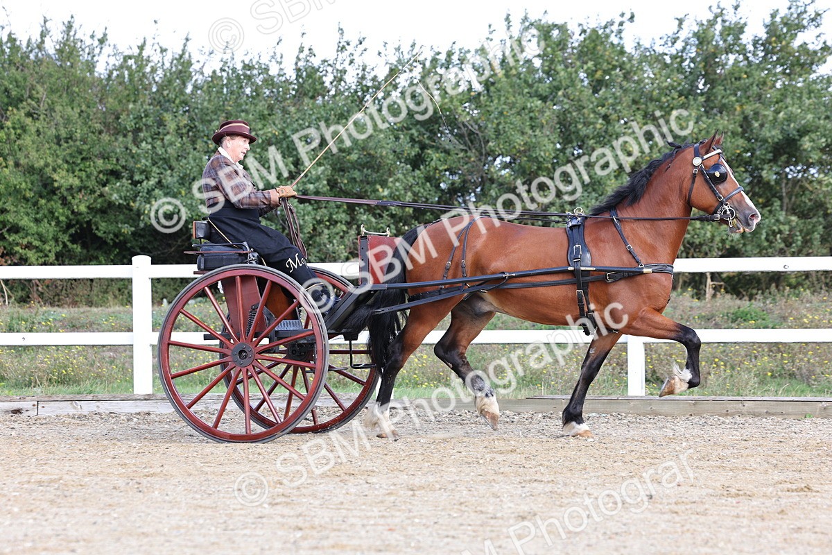 SBM_000822 - Class 6 - Exercise Vehicle 13.2 and over