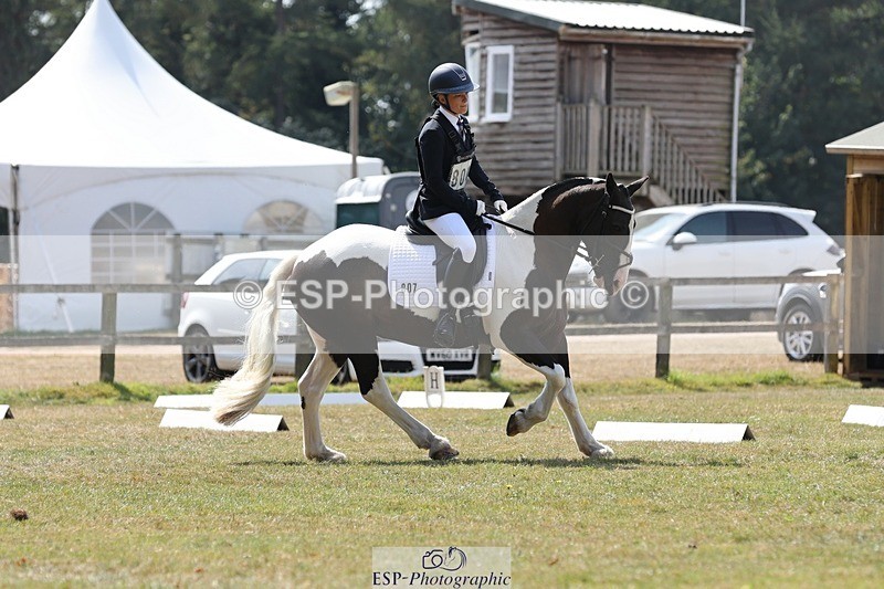 250823A-131544-31502 - Arena C