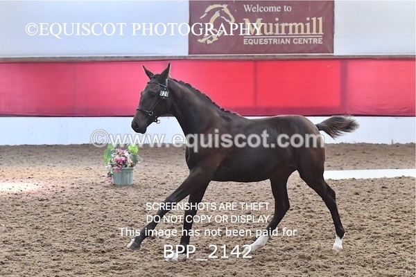 BPP_2142 - AFTERNOON 12.30 - 3.30PM