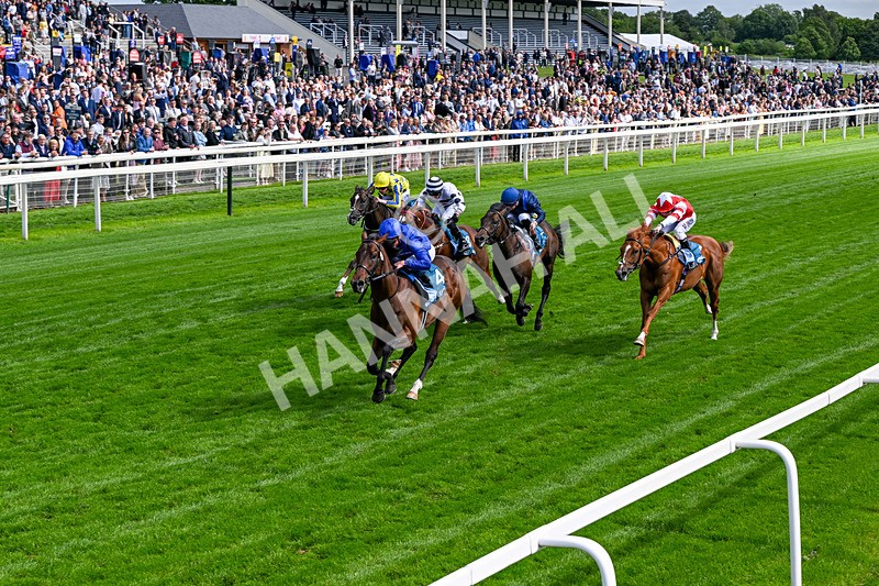 130626-Race 5-Inner City Blues-1788 - Race 5 16.15pm Tomahawk Restaurants Supporting Macmillan EBF Maiden Stakes
