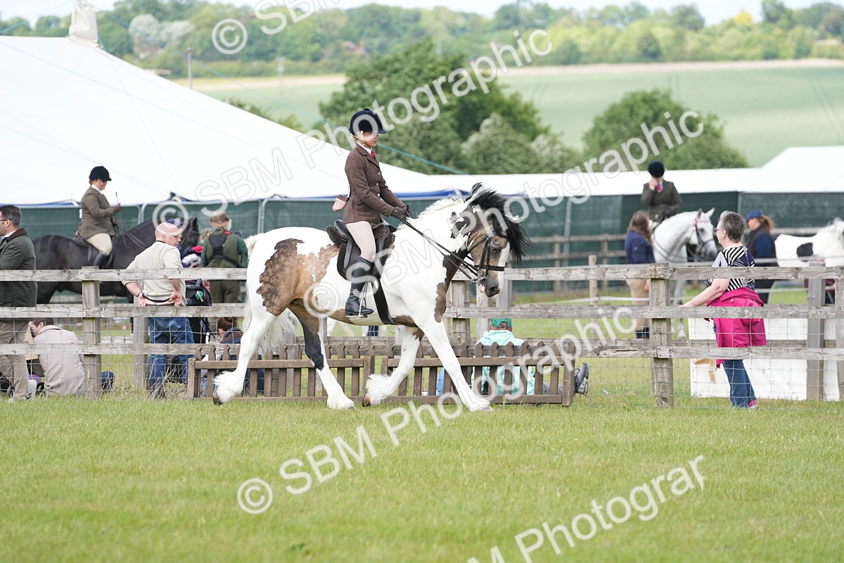 SBM_17222 - Class 107-108 - LIHS BSPS Performance Coloured Horse Pony