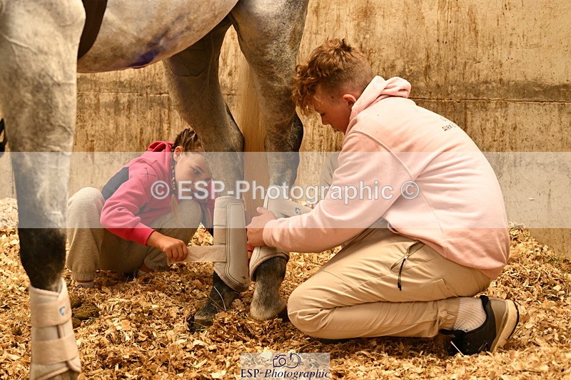 240809A-090955-00063 - Stable Shots