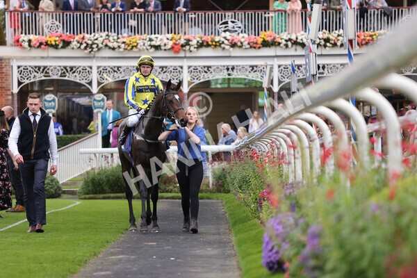 yr09102021r5-29 - Race 5 3.50pm Coral ebfstallions.com Novice Stakes