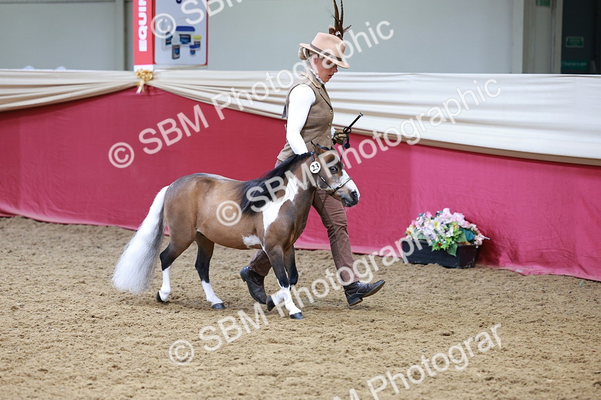 SBM_15733 - Class 110 - IH  Minature Horse