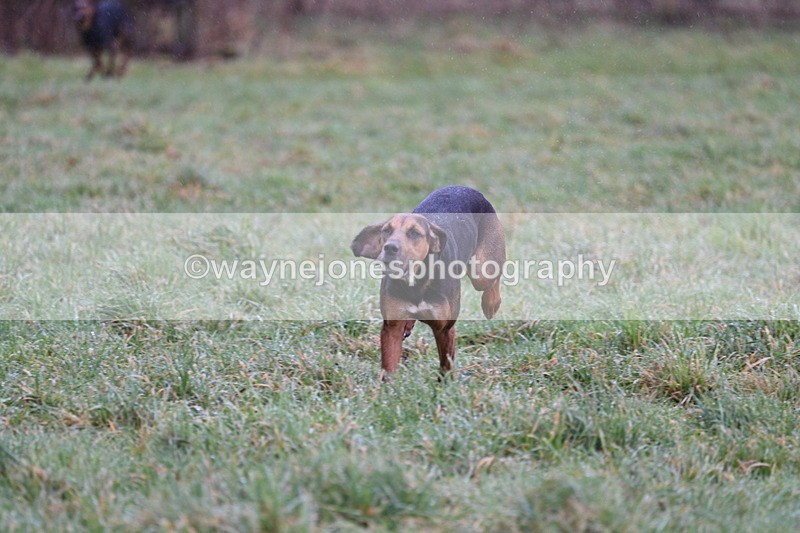 WJ7_6799 - Cam A